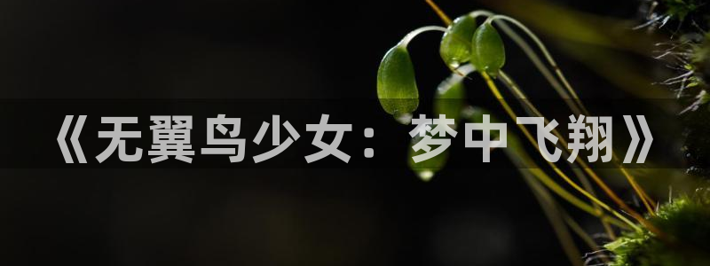包子漫画 官网：《无翼鸟少女：梦中飞翔》